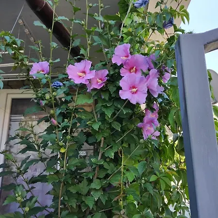 Comfortable Ground Floor