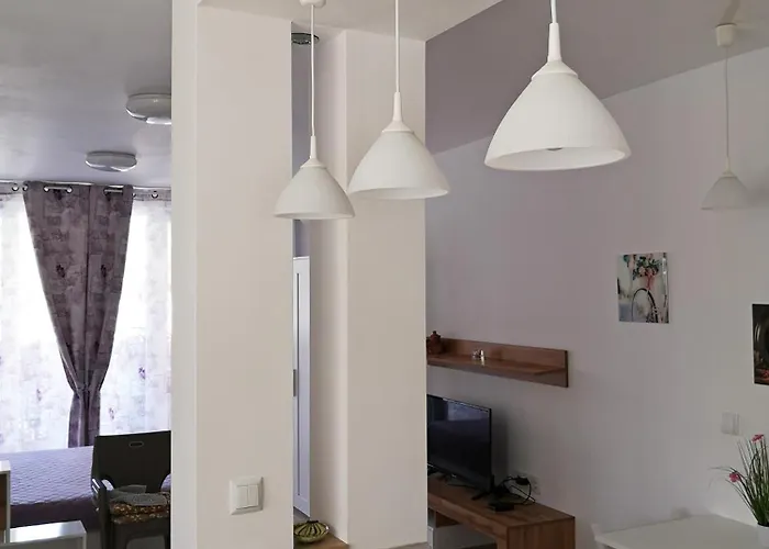 Comfortable Ground Floor Apartman Primorszko